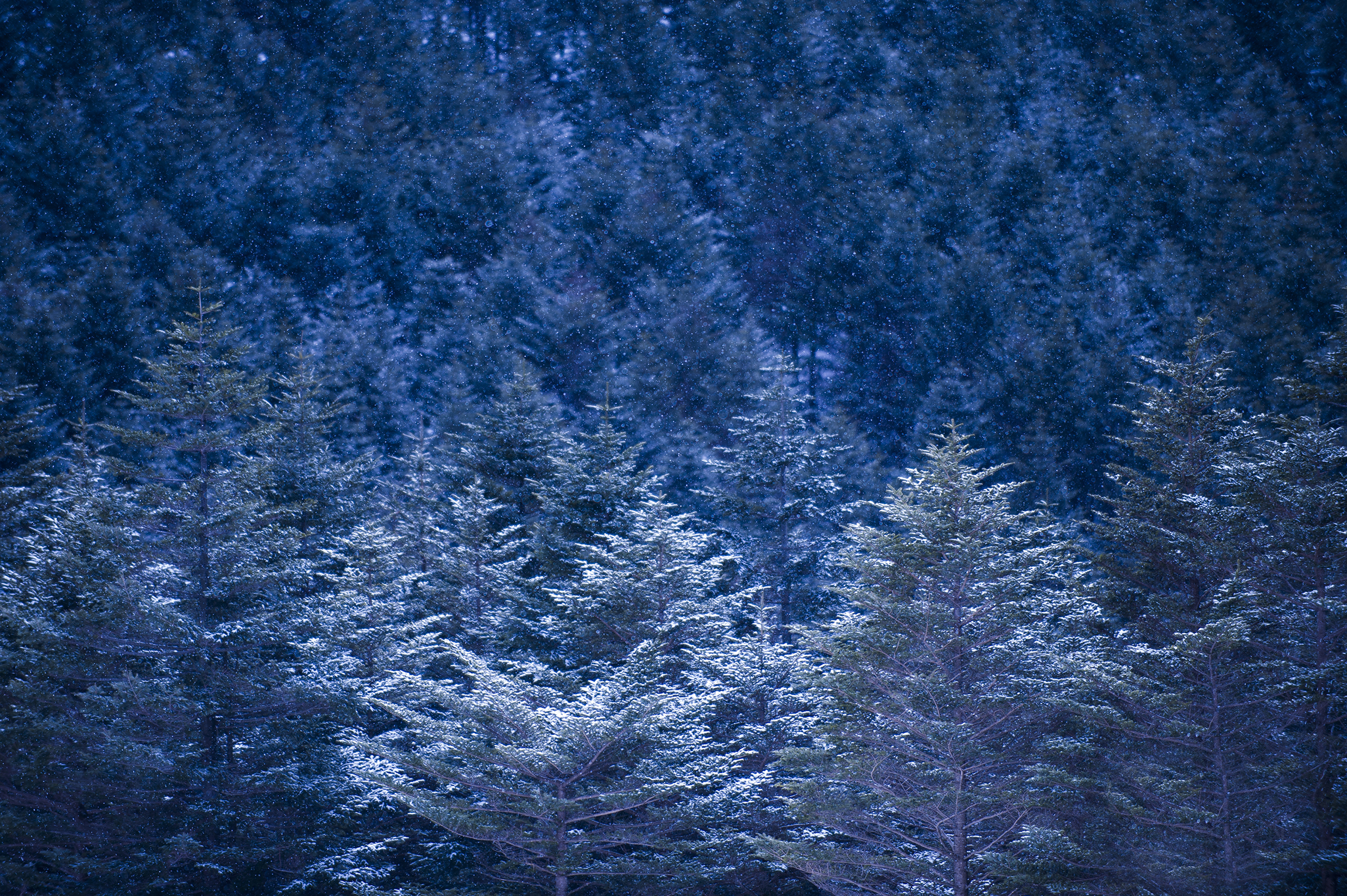 周辺観光スポット「御射鹿池」のご紹介