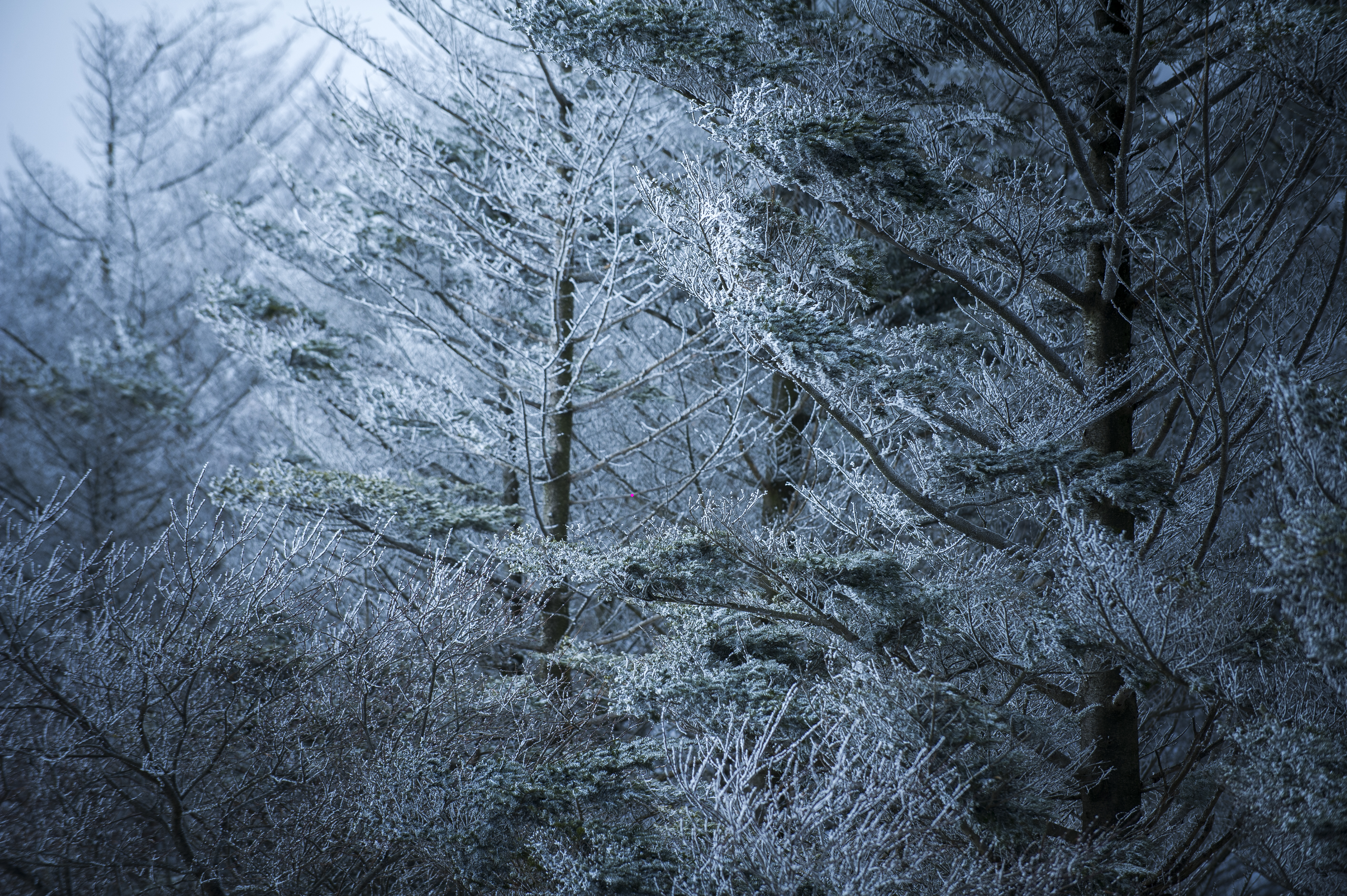 グランドオープンのお知らせ
